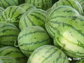 吃瓜甜搞笑,揭秘娱乐圈那些让人捧腹大笑的幕后故事