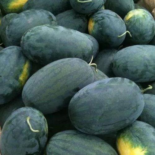 广育路吃瓜,一场热闹非凡的吃瓜盛宴