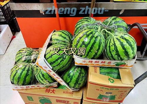 郑州最新吃瓜事件,揭秘背后真相与网络热议