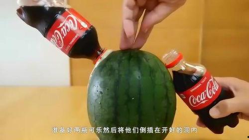 老外扫垃圾吃瓜,老外奇遇记，扫垃圾吃瓜的奇妙体验