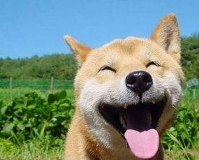 内涵吃瓜搞笑句子,那些让人捧腹的搞笑句子大盘点