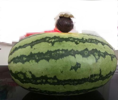 吃大家的瓜,全民共享的“吃瓜”盛宴