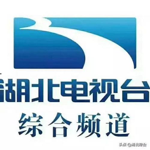 湖北卫视吃瓜战报,揭秘娱乐圈幕后风云