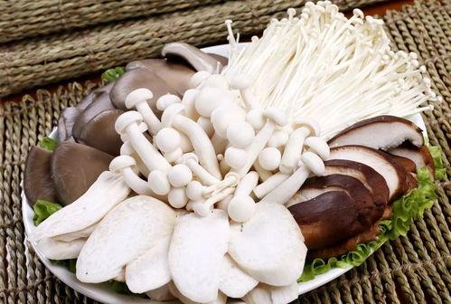 菌菌吃瓜集,揭秘网络热点的幕后故事