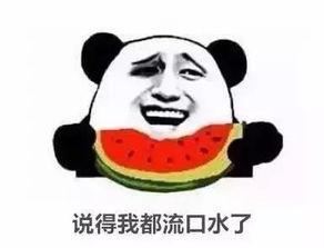 带你吃瓜拍照片