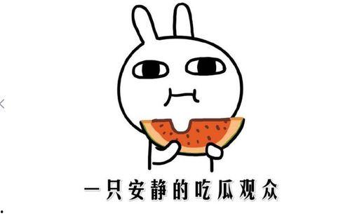 吃瓜群众的手段,网络舆论场中的“侦探”与“法官”