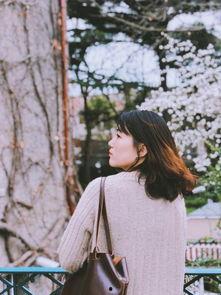 旧梦吃瓜柳如烟,一场穿越时空的奇幻之旅