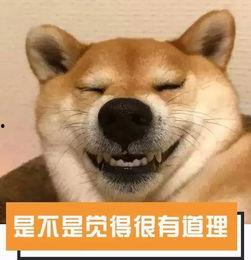 吃瓜群众滴滴视频,吃瓜群众视角下的视频真相