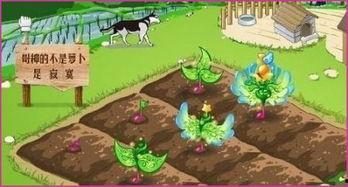 元梦之星吃农场吃瓜,瓜果飘香，欢乐无限