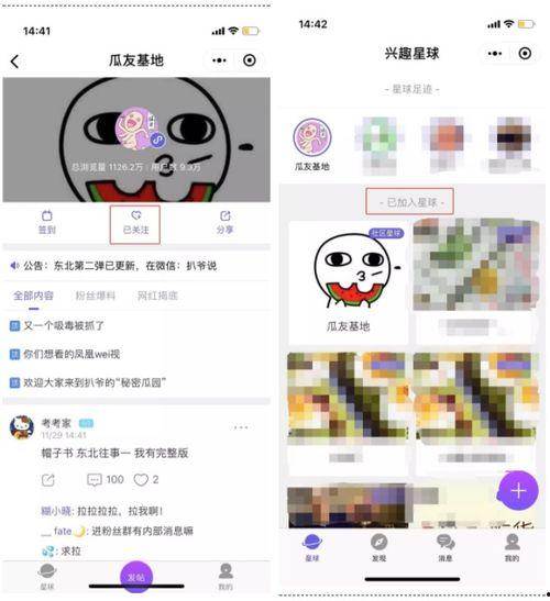 火爆全网吃瓜群,揭秘火爆吃瓜群背后的故事