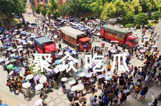 学校吃瓜犯法吗,法律边界与文明素养探讨