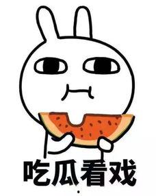 无聊而已吃瓜有理,无聊生活里的趣味观察