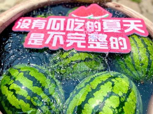 2024吃瓜,盘点娱乐圈那些事儿