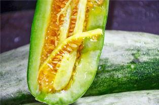 网红也吃瓜,揭秘网络红人的真实生活