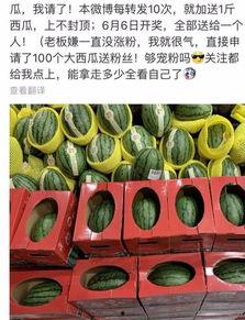 吃瓜奖品,揭秘吃瓜大奖背后的惊喜与乐趣