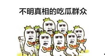 吃瓜群众已就位,揭秘娱乐圈最新热点