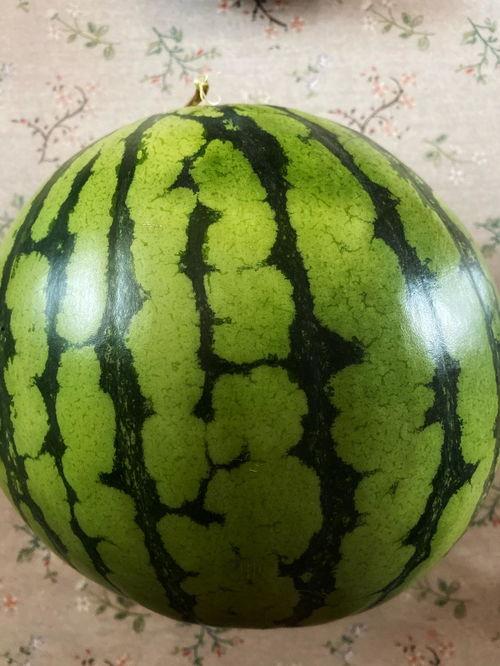 每日聪慧吃瓜表演,揭秘娱乐圈幕后故事