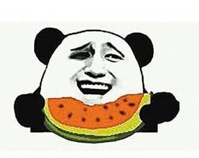 吃瓜群众头像闺蜜,揭秘吃瓜群众的欢乐日常